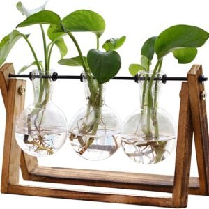 xxxflower plant terrarium with wooden stand, air planter bulb glass vase metal swivel holder retro tabletop for hydroponics home garden office decoration 3 bulb vase